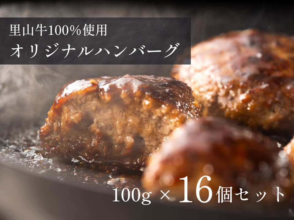 【 特盛 】大人気!生ハンバーグ 8/16個 おまとめ買いセット