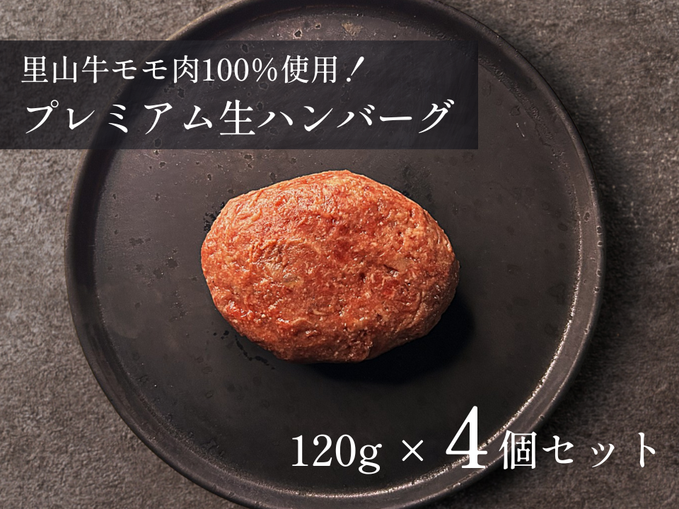 【発売記念】プレミアム生ハンバーグ お試し4個セット