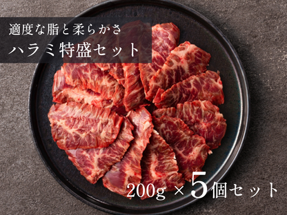 【 特盛 】ハラミ 1.0kg おまとめ買いセット
