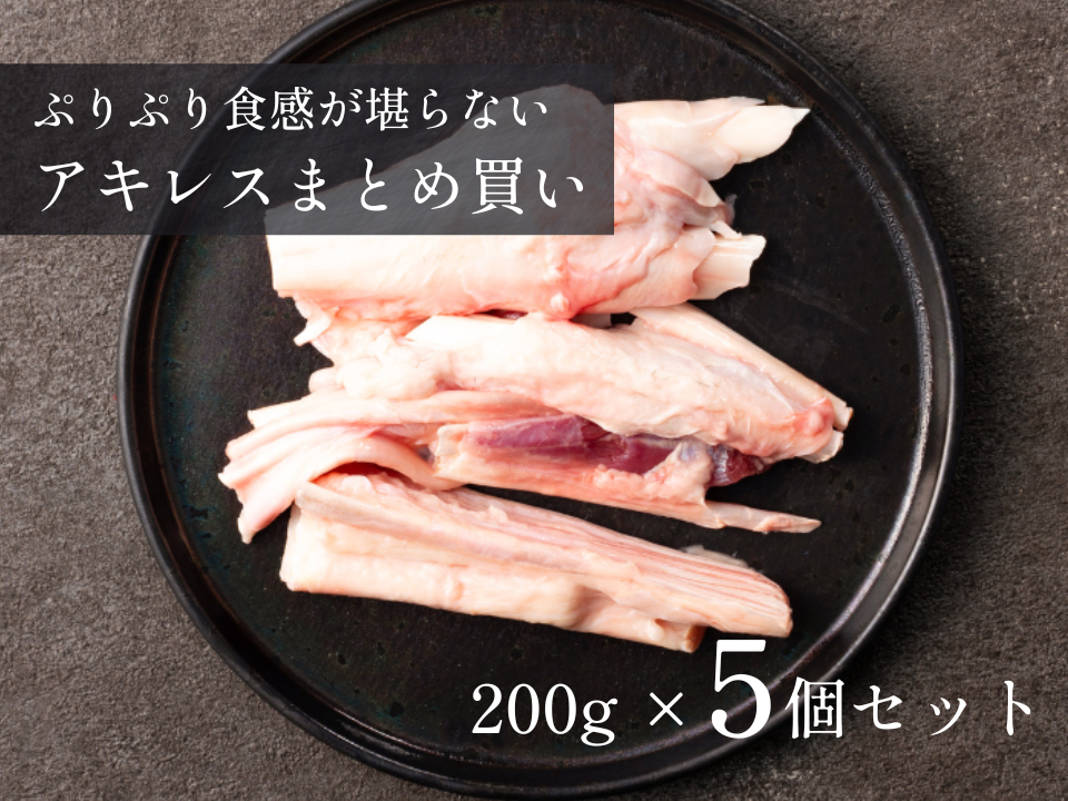 【 半額 】［～8/2まで］アキレス 特盛 1.0kgセット