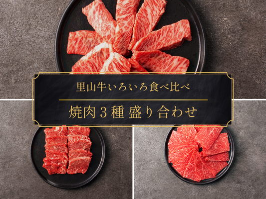 【お試しBOX】[～12/7まで] 里山牛いろいろ焼肉３種 食べ比べセット