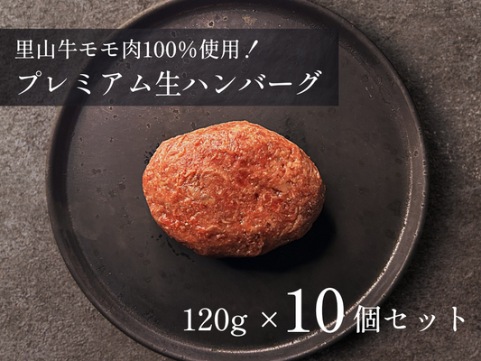 【 特盛 】プレミアム生ハンバーグ 1.2kg おまとめ買いセット