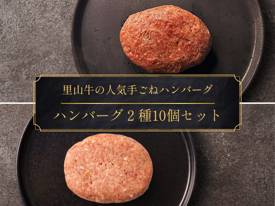 【20％OFF】［～6/7まで］ハンバーグ２種食べ比べ10個セット（計1.1kg）