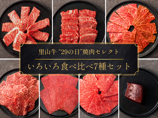 【29の日】＼ 春のお花見！焼肉祭り ／ いろいろ食べ比べ7種セット（1.2kg）