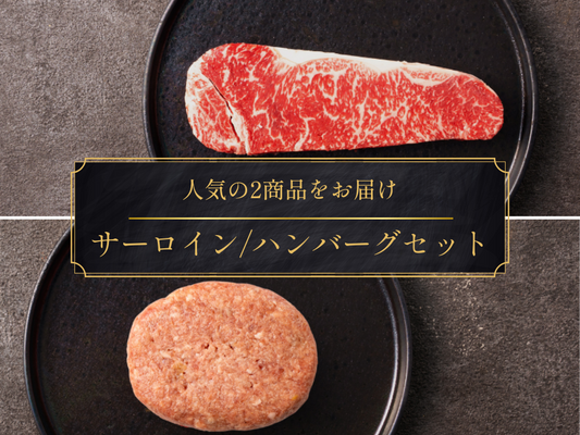 【ギフト】豪華サーロインステーキ＆ハンバーグ 各2個セット＜送料無料＞