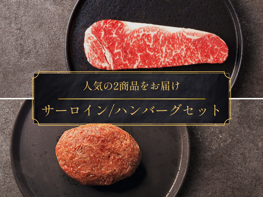 【ギフト】豪華サーロインステーキ＆プレミアムハンバーグ 各2個セット＜送料無料／お取引先様限定＞(e)